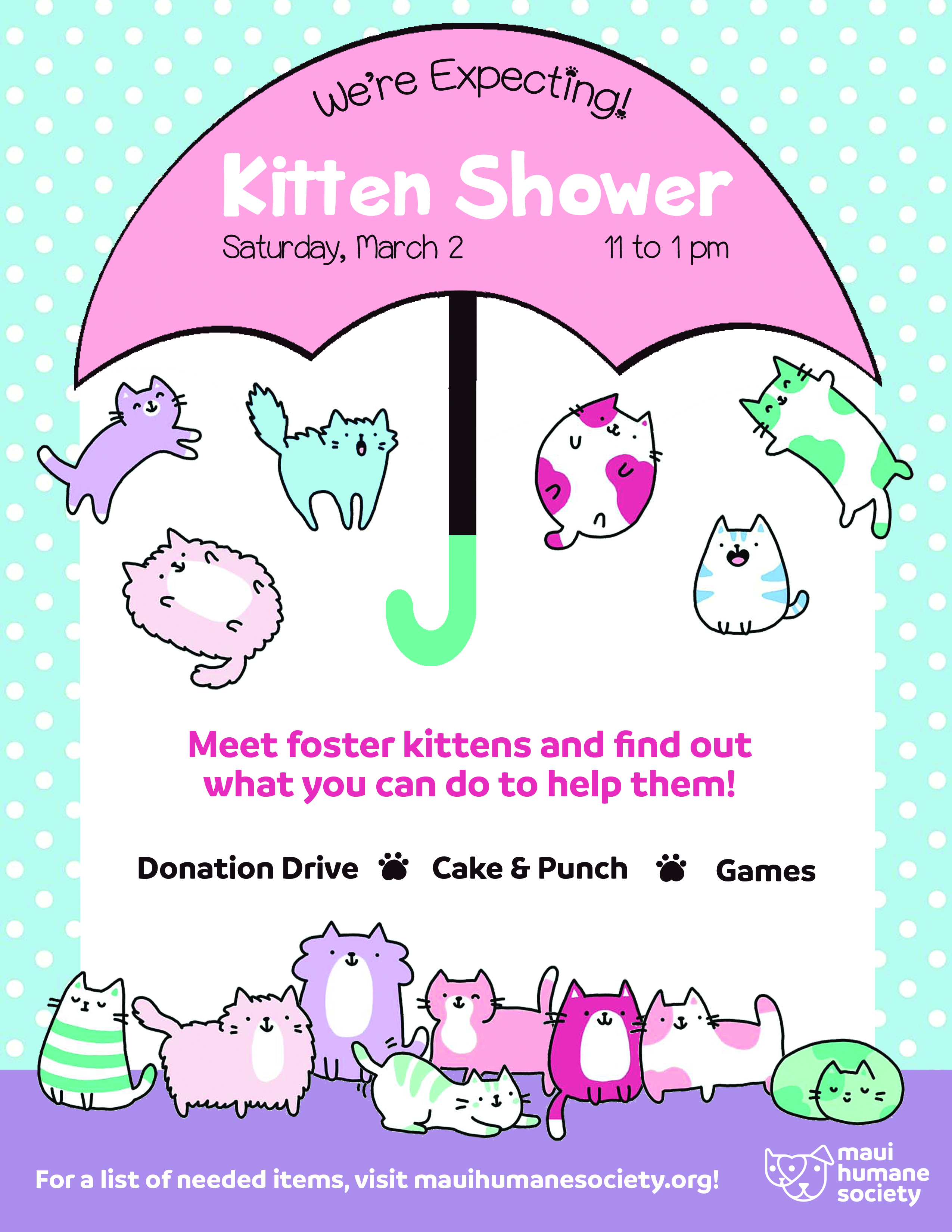 Kitten Baby Shower » Conscious Maui